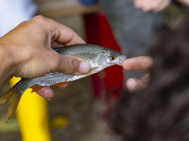 Atelier pêche - Découverte au lac du Tordre
