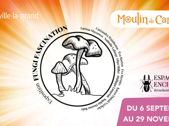 Exposition artistique Fungi Fascination