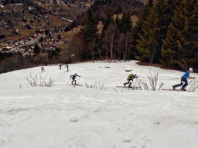 La Torrazienne