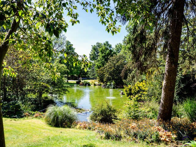 Angers: the Arboretum garden