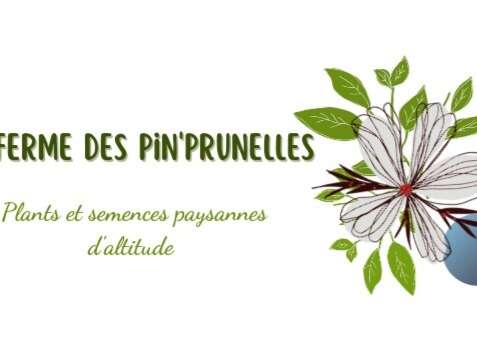 La ferme des Pin'prunelles