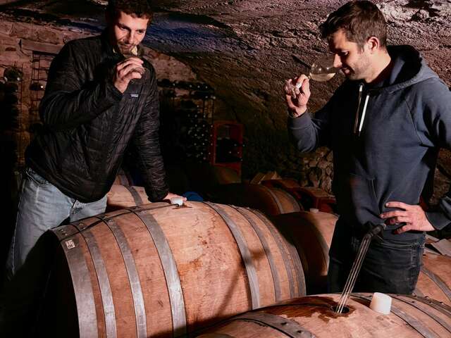 Domaine des Ardaillons - Thibault et Yannick Pras