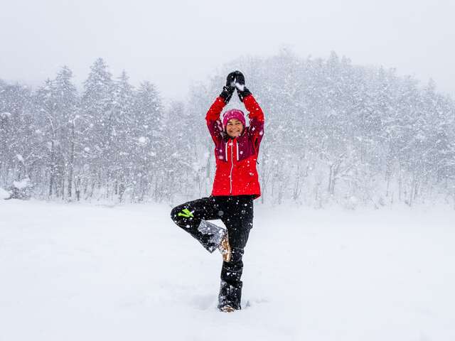 Cours de Yoga Vinyasa