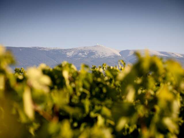 Dégustation et visite du chai de biodynamie de la cave Terraventoux