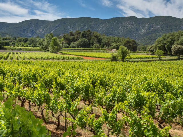 Mas des Infermières