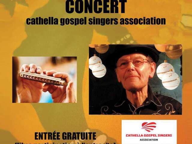 Concert de l'homme à l'harmonica