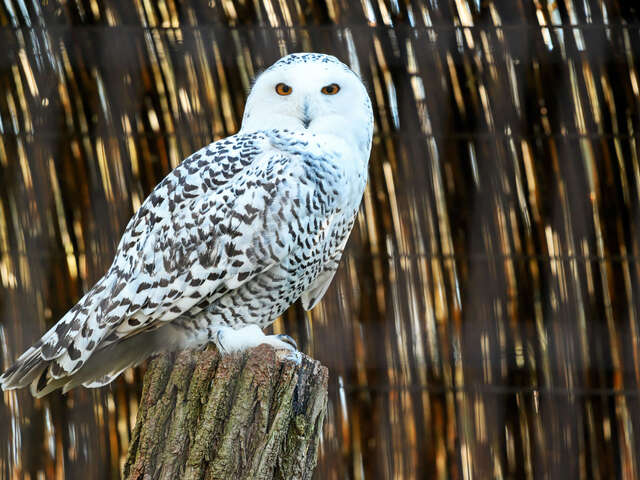 Parcours en famille pour les vacances de printemps au Jardin botanique Val Rahmeh-Menton