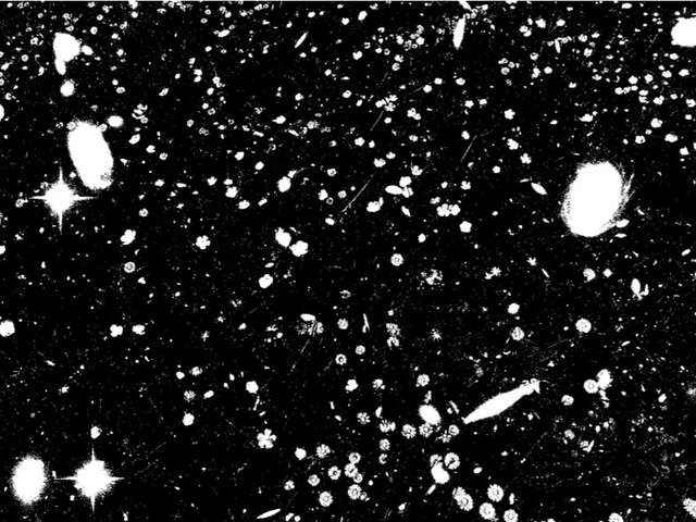 Angela Detanico et Rafael Lain : Champ étoilé