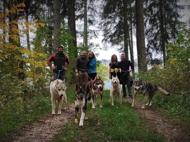 Cani-rando - Travel Dog