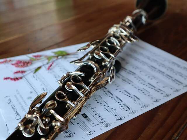 Concert Musical'été