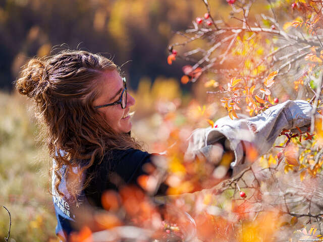 Découverte de la cueillette sauvage et fabrication artisanale à base de plantes