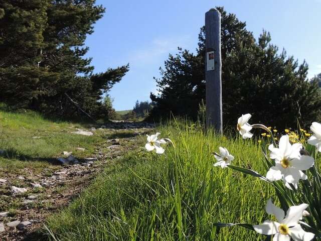 Sentier des planètes - de Lure à Neptune