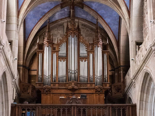 Les Orgues de la Cathédrale