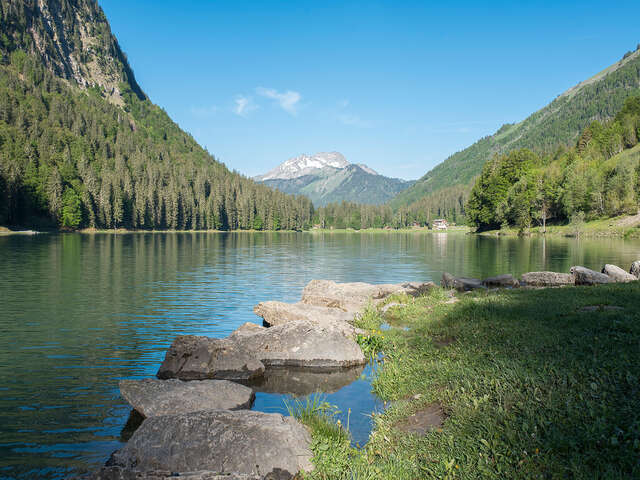 Sentier pédestre : du centre de Montriond au Lac