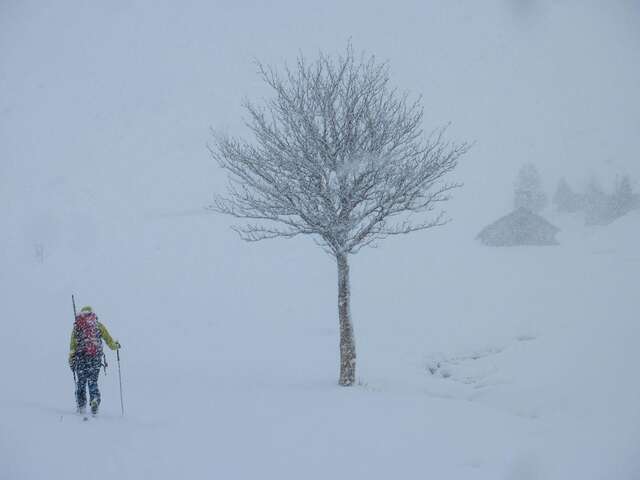 Projection-causerie : En attendant la neige