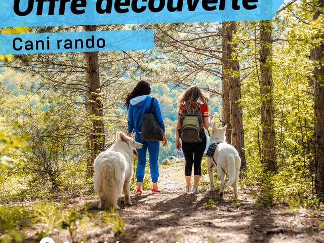 Offre découverte : Cani Rando à Saint Léger