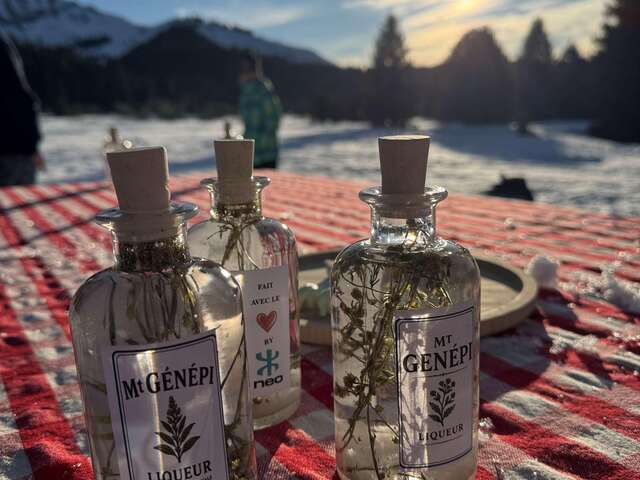 Atelier découverte et création de génépi