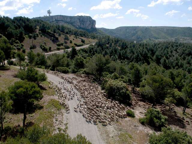 EYGALIERES - La Routo : Le chemin de Baume Brignolle