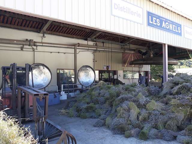 Distillerie de Lavande & Plantes Aromatiques - Les Agnels