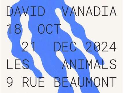 Exposition David Vanadia