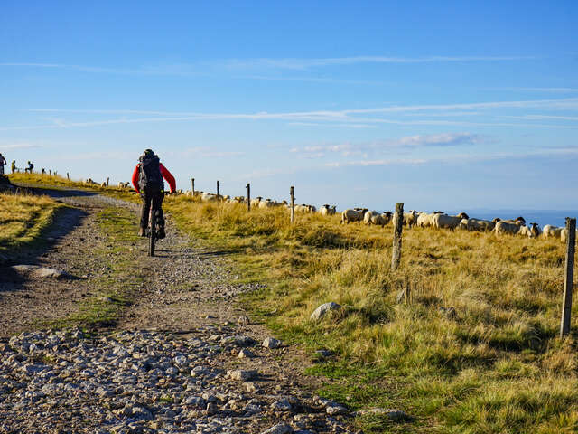 N° 27 - Pierre sur Haute - Espace VTT-FFC Massif des Bois Noirs