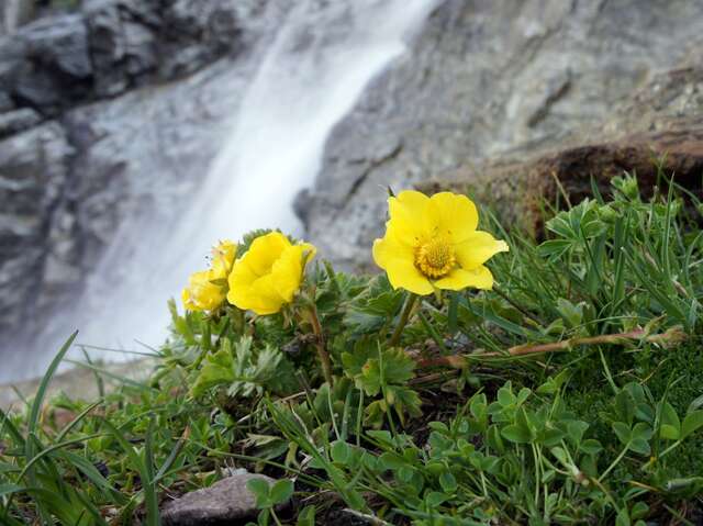 Rdv avec un garde-moniteur au refuge de Chabournéou