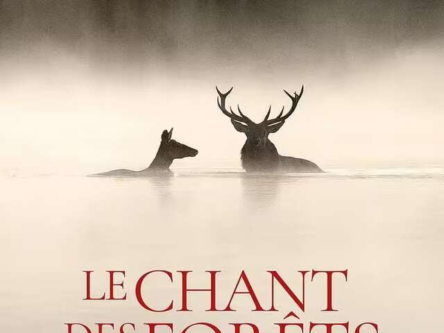 Projection du film "Le chant des forêts" - COMPLET
