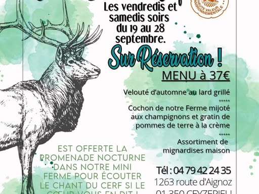 Soirées "Brâme du Cerf" à La Ferme du Marais