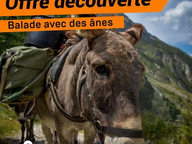 Offre découverte : Ravitaillement du refuge avec les ânes en famille
