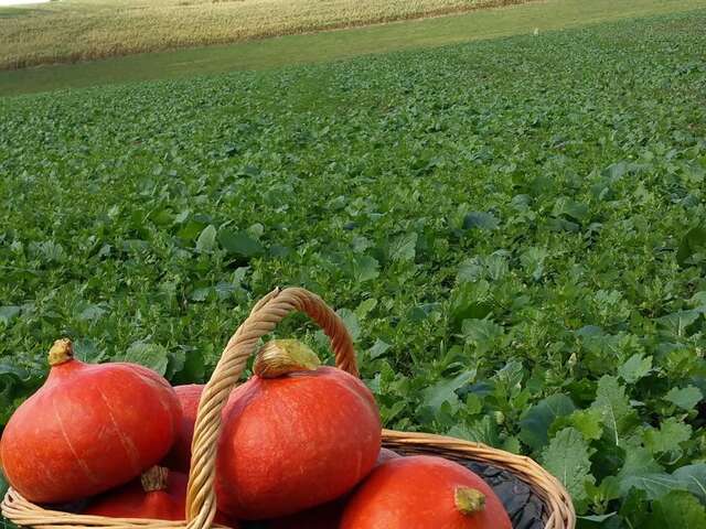 Les Potagers du Château