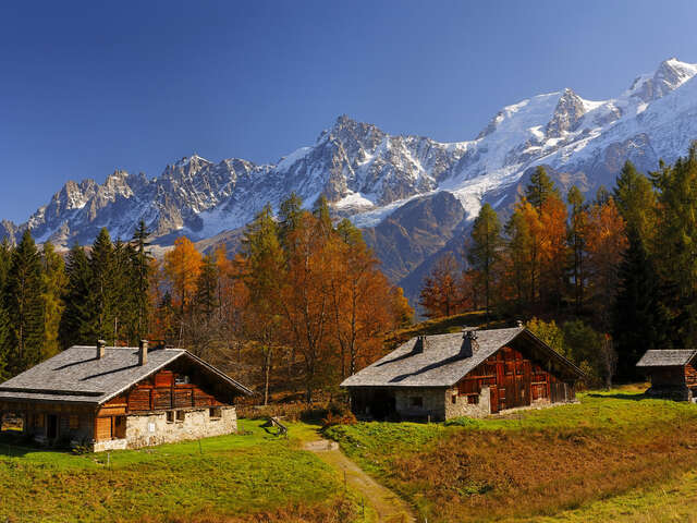 Traditionelle Bauernhöfe