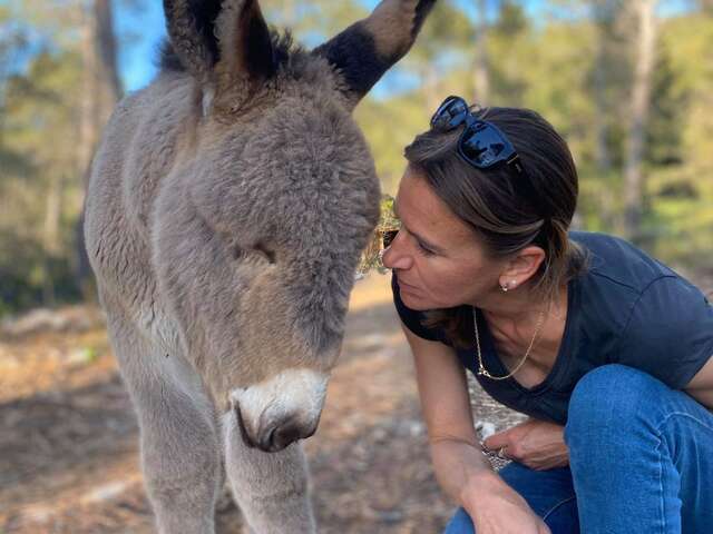 Découverte de l'asinerie et balade au pas de l'âne - 1/2 journée