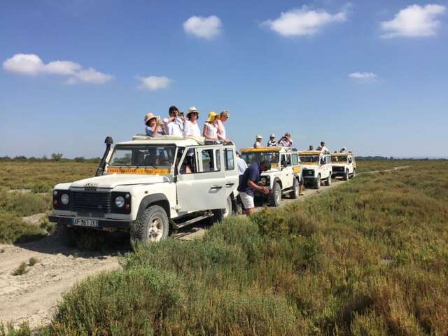 Camargue Alpilles Safari