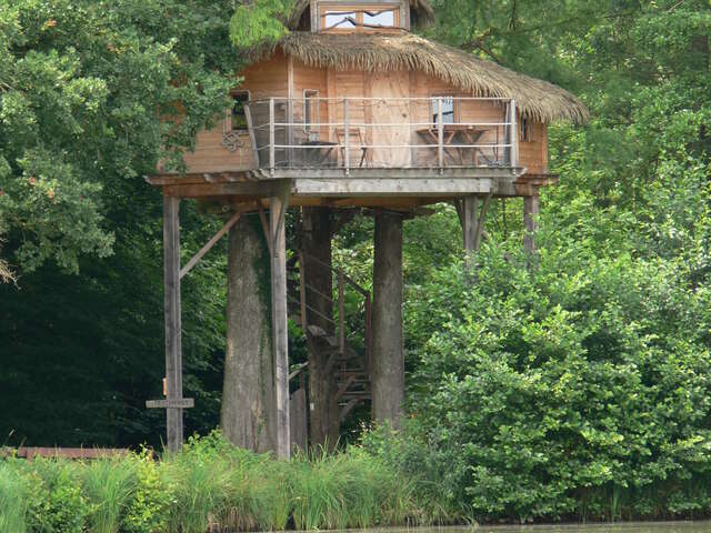 Cabane perchée les Écureuils - DDLD