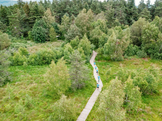 Les menhirs de Gimel - Pôle trail