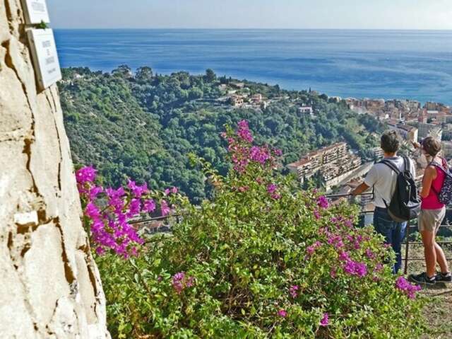 Guided tour: L'Annonciade