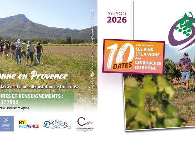 Balades Vigneronnes en Provence