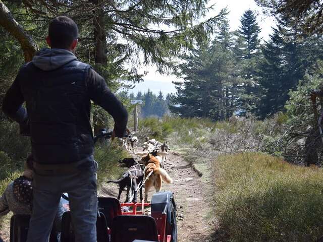 Nom d'un chien - Cani-kart et cani-balade