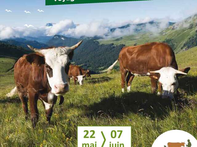 Les Semaines du Géoparc du Chablais - édition 2026