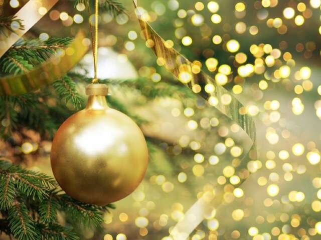 Lancement des illuminations de Noël