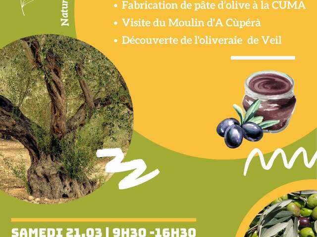 Olive Rendezvous with Curieux de Nature