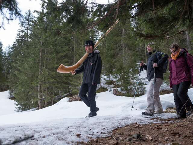 Randonnée au son du cor des Alpes