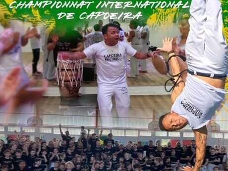 Festival de capoeira