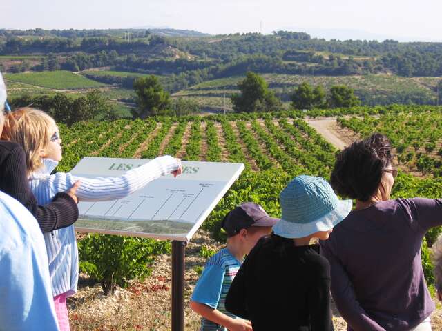 Rasteau panoramic wine-growing trail