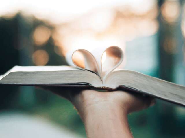 Kerstdecoratie workshop