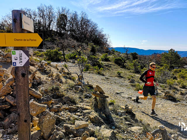 Stay Trail Forcalquier Montagne de Lure