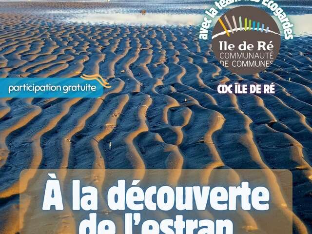 Atelier : à la découverte de l'estran