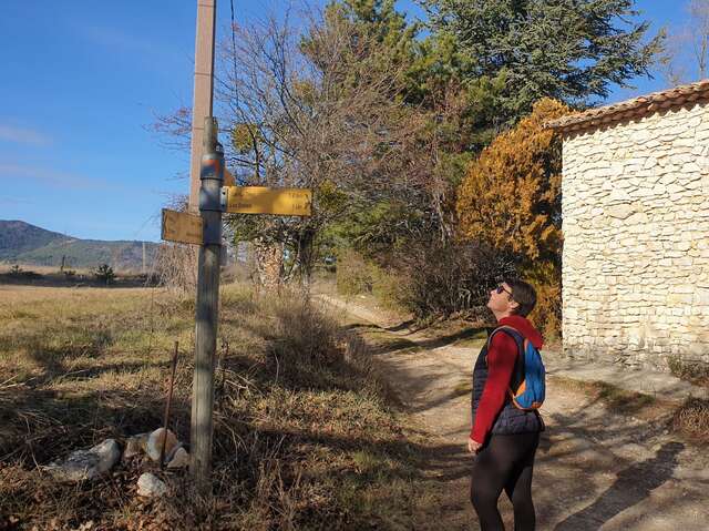 ST-TRINIT – Les chênes séculaires des bois de la Caviote