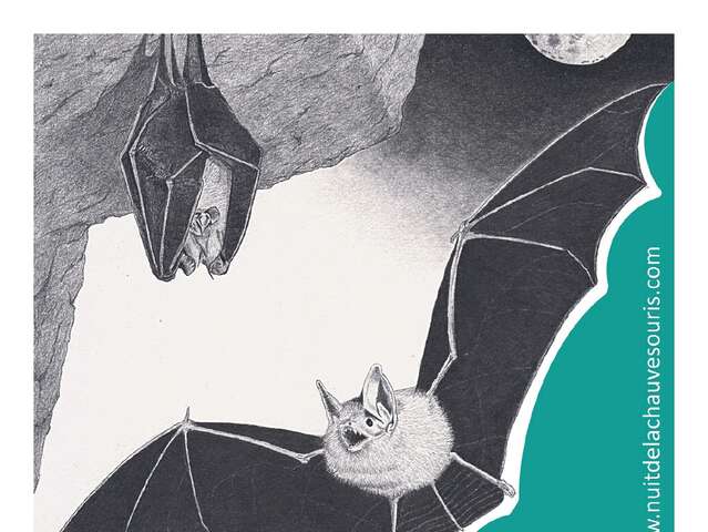 Nuit Internationale de la chauve souris