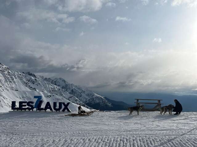 Balade chiens de traineaux - Drécik's Dogs